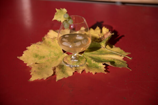 Fibonacci n-1 Muscat Barrique: Handcrafted Swiss Dry Gin - Image 4
